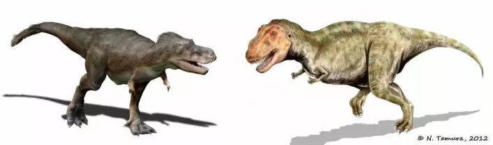Tamura har laget flere varianter av Tyrannosaurus rex, men forteller at publikum synes å like den til høyre best. Den er den minst korrekte, vitenskapelig sett. (Foto: (Illustrasjoner: Nobu Tamura))