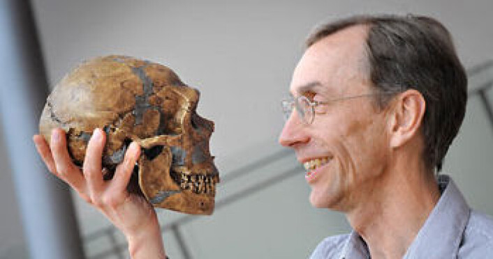 Professor Svante Pääbo ved Max Planck-instituttet for evolusjonsantropologi i Tyskland har spilt en sentral rolle i studiet av neandertalerens genom. (Foto: Frank Vinken) Professor Svante Pääbo ved Max Planck-instituttet for evolusjonsantropologi i Tyskland har spilt en sentral rolle i studiet av neandertalerens genom. (Foto: Frank Vinken)