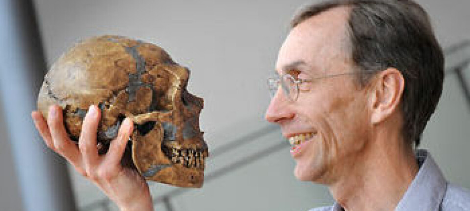 Professor Svante Pääbo ved Max Planck-instituttet for evolusjonsantropologi i Tyskland har spilt en sentral rolle i studiet av neandertalerens genom. (Foto: Frank Vinken)