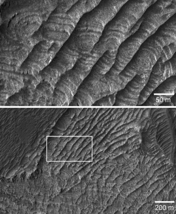 En ny type landformasjon på Mars er beskrevet. Den dannes av vinderosjon vi ikke har maken til på Jorda. (Foto: NASA) En ny type landformasjon på Mars er beskrevet. Den dannes av vinderosjon vi ikke har maken til på Jorda. (Foto: NASA)