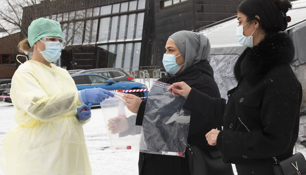 Silje Thorkildsen (til venstre) mottok spyttprøver fra Salam Abulrazak (i midten) og Beheshte Yousufzai under massetestingen på Stovner videregående skole da testingen startet onsdag i forrige uke. Silje Thorkildsen (til venstre) mottok spyttprøver fra Salam Abulrazak (i midten) og Beheshte Yousufzai under massetestingen på Stovner videregående skole da testingen startet onsdag i forrige uke.