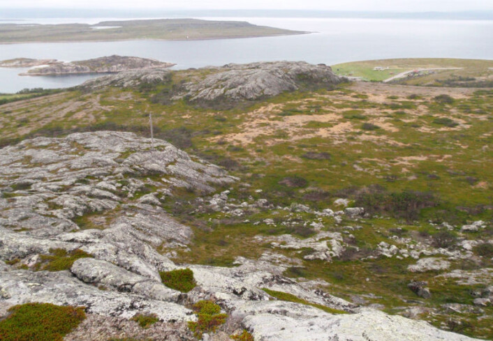 Boplassen Fállegoahtesadjeguolbba med Varangerfjorden i bakgrunnen. Funnene ble gjort på det flate området midt på bildet. (Foto: Jarmo Kankaanpää) Boplassen Fállegoahtesadjeguolbba med Varangerfjorden i bakgrunnen. Funnene ble gjort på det flate området midt på bildet. (Foto: Jarmo Kankaanpää)