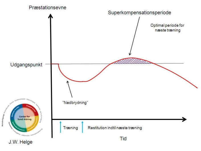 Superkompensasjonsprinsippet brukes av mange fagfolk til å beskrive når det er optimalt å legge treningen. Les mer i boksen under artikkelen: «Stor forvirring om begrepene». (Foto: (Figur: Jørn Wulff Helge)) Superkompensasjonsprinsippet brukes av mange fagfolk til å beskrive når det er optimalt å legge treningen. Les mer i boksen under artikkelen: «Stor forvirring om begrepene». (Foto: (Figur: Jørn Wulff Helge))