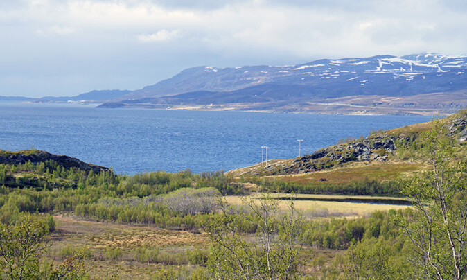 One of the lakes where the researchers found the fish bones is Klubbvatnet to the right in the picture, 33 meters above sea level at Neverfjord in Hammerfest municipality. Altafjorden and Kvaløya in the background. One of the lakes where the researchers found the fish bones is Klubbvatnet to the right in the picture, 33 meters above sea level at Neverfjord in Hammerfest municipality. Altafjorden and Kvaløya in the background.
