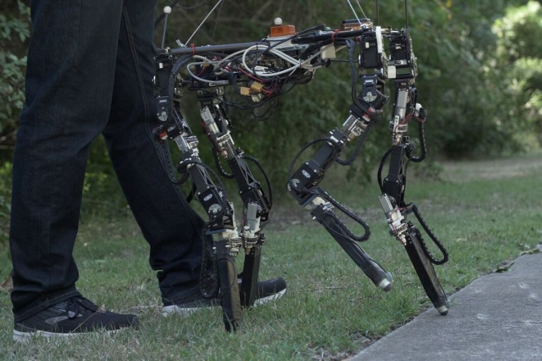 Fra gress til betong. Et stort skritt for en robot som selv skal finne ut hvordan den skal angripe et nytt underlag. Fra gress til betong. Et stort skritt for en robot som selv skal finne ut hvordan den skal angripe et nytt underlag.