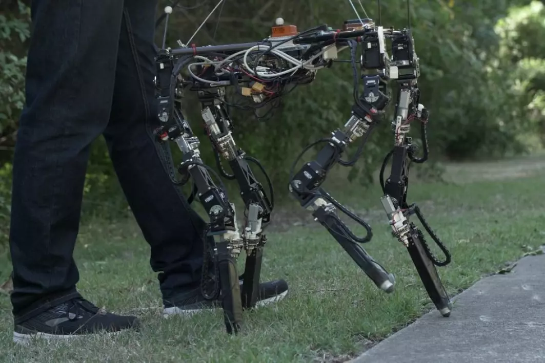 Fra gress til betong. Et stort skritt for en robot som selv skal finne ut hvordan den skal angripe et nytt underlag.