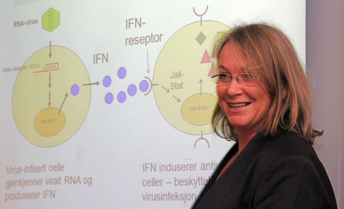 – Med kunnskapen vi nå har om laksens immunforsvar og ILA-virusets strategier kan vi skreddersy vaksiner til å framkalle de mest effektive forsvarsmekanismene, sier Siri Mjaaland. (Foto: Torkil Marsdal Hanssen) – Med kunnskapen vi nå har om laksens immunforsvar og ILA-virusets strategier kan vi skreddersy vaksiner til å framkalle de mest effektive forsvarsmekanismene, sier Siri Mjaaland. (Foto: Torkil Marsdal Hanssen)