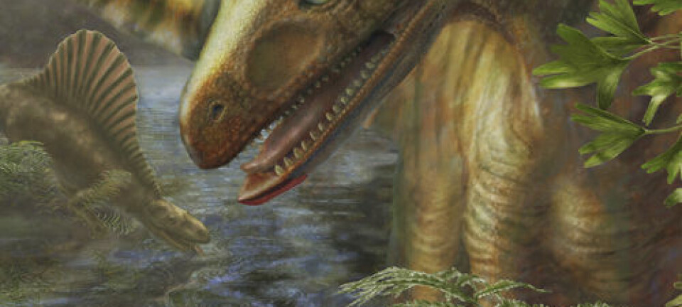 Asilisaurus (Illustrasjon: Marlene Donnelly/Field Museum of Natural History)