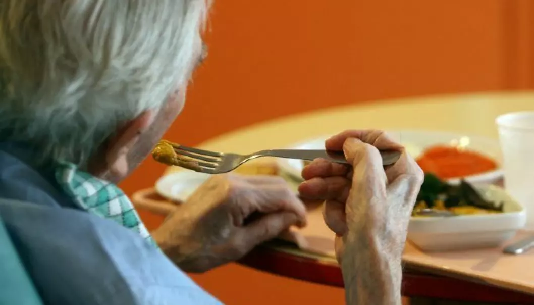 For lite blir gjort for eldre med underernæring