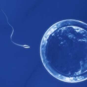 (Illustrasjonsfoto: www.shutterstock.com) (Illustrasjonsfoto: www.shutterstock.com)