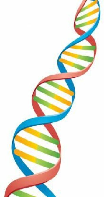 Forskere i ny dansk undersøkelse har brukt DNA som en slags lim mellom mikroskopiske oljedråper. (Foto: Colourbox)
