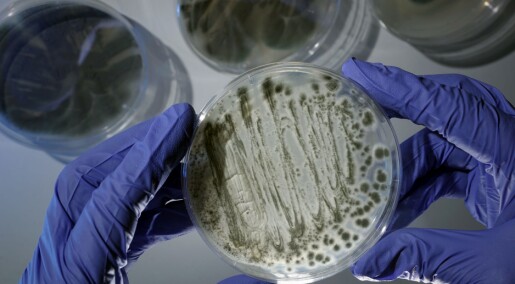 Nytt enzym oppdaget på dødbringende sopp. Kan være nøkkelen til ny behandling