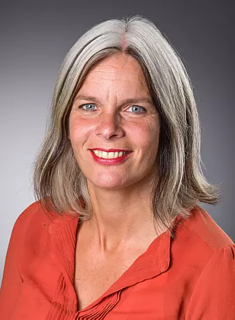 Anne Helen Kveim Lie er forsker ved avdeling for samfunnsmedisin og global helse på Universitetet i Oslo.