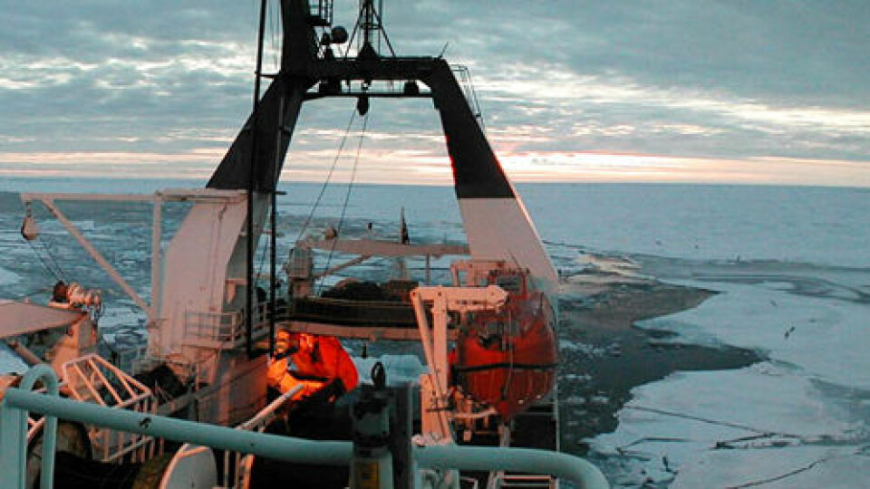 Under årets norsk-russiske forskningstokt har forskerne funnet både torsk og lodde rekordlangt øst i russisk økonomisk sone. (Foto: Havforskningsinstituttet)
