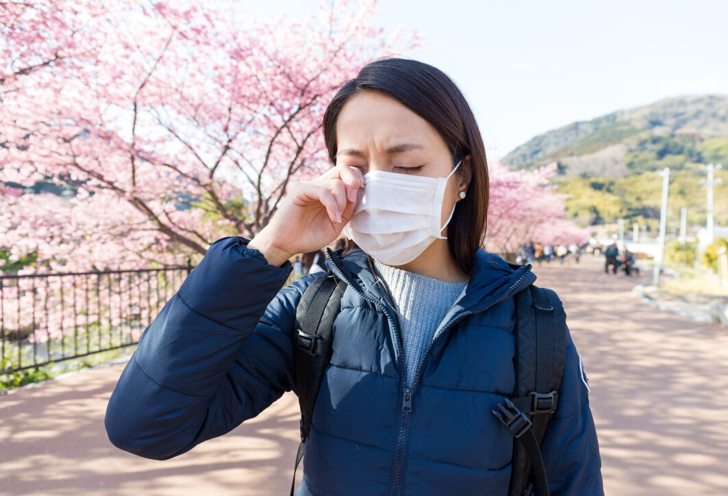 Vårens vakre farger skaper trøbbel for allergikere. Nå har forskere funnet et protein i kroppen vår som kan beskytte oss mot allergiske reaksjoner Vårens vakre farger skaper trøbbel for allergikere. Nå har forskere funnet et protein i kroppen vår som kan beskytte oss mot allergiske reaksjoner
