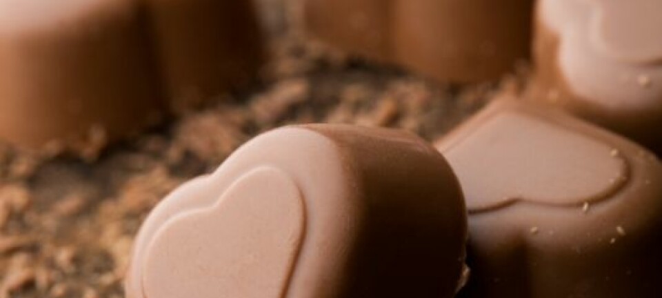 Skjokolade tenner lysten og gir lykkerus. (Colourbox
