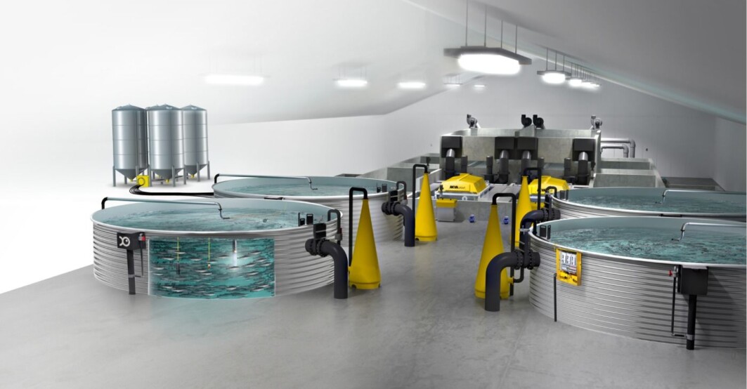 A major challenge linked to land-based facilities for fishfarming is the adequate control of microbial conditions and chemical water quality. The project DigRAS will look into this. This is how future land-based fish farms are going to look like. A major challenge linked to land-based facilities for fishfarming is the adequate control of microbial conditions and chemical water quality. The project DigRAS will look into this. This is how future land-based fish farms are going to look like.