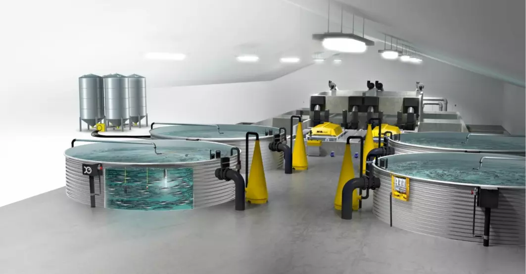 A major challenge linked to land-based facilities for fishfarming is the adequate control of microbial conditions and chemical water quality. The project DigRAS will look into this. This is how future land-based fish farms are going to look like.