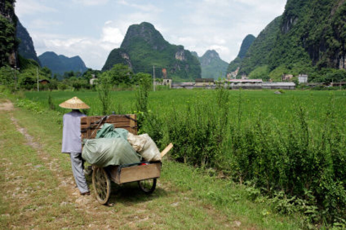 Verden trenger mer åkerland, ikke minst i Kina. Bilde viser en bonde i provinsen Guangxi i Kina. (Foto: iStockphoto) Verden trenger mer åkerland, ikke minst i Kina. Bilde viser en bonde i provinsen Guangxi i Kina. (Foto: iStockphoto)