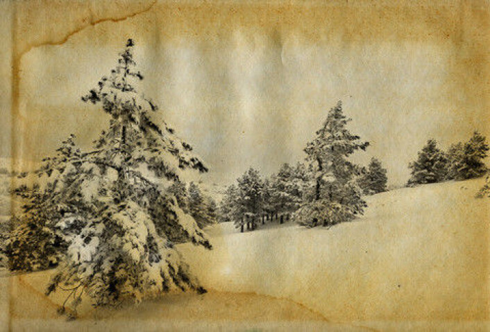 (Illustrasjonsfoto: colourbox.no) (Illustrasjonsfoto: colourbox.no)