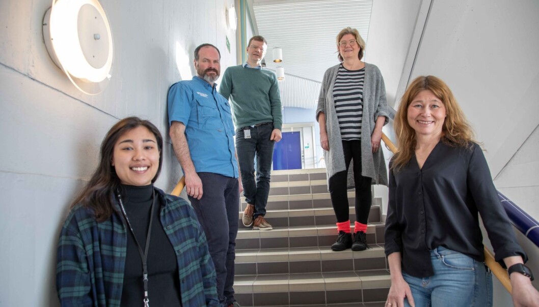 UiT-forskerne bak studien (fra venstre): Stipendiat Sairah Lai Fa Chen, førsteamanuensis Erik Eik Anda, professor Torkjel M. Sandanger, førsteamanuensis Tonje Braaten, førsteamanuensis Kristin B. Borch. Sammen med forskere fra Folkehelseinstituttet, Universitetet i Oslo, Oslo universitetssykehus og forskere i England har de undersøkt antistoffer mot koronaviruset i den norske befolkningen. UiT-forskerne bak studien (fra venstre): Stipendiat Sairah Lai Fa Chen, førsteamanuensis Erik Eik Anda, professor Torkjel M. Sandanger, førsteamanuensis Tonje Braaten, førsteamanuensis Kristin B. Borch. Sammen med forskere fra Folkehelseinstituttet, Universitetet i Oslo, Oslo universitetssykehus og forskere i England har de undersøkt antistoffer mot koronaviruset i den norske befolkningen.