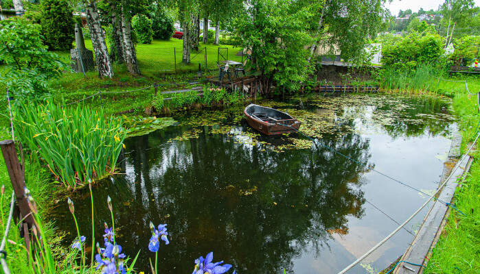 En litt større hagedam i Lier kommune som huser både masse vannplanter, små- og storsalamander og frosk. En litt større hagedam i Lier kommune som huser både masse vannplanter, små- og storsalamander og frosk.