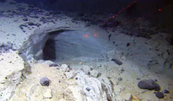Grotter på 2200 meter djup i skredmassar på havbotnen utanfor Vesterålen. Avstanden mellom dei raude laserprikkane er 10 centimeter. (Foto: NGU/Mareano)