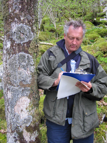 Seniorforsker Magne Sætersdal kan notere seg forekomst av flere lavarter i lungeneversamfunnet på barken av dette ospetreet. (Foto: Ivar Gjerde/Skog og landskap) Seniorforsker Magne Sætersdal kan notere seg forekomst av flere lavarter i lungeneversamfunnet på barken av dette ospetreet. (Foto: Ivar Gjerde/Skog og landskap)