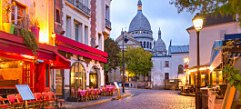 Nesten alle som besøkte Paris virtuelt ønsket å reise til byen på ordentlig