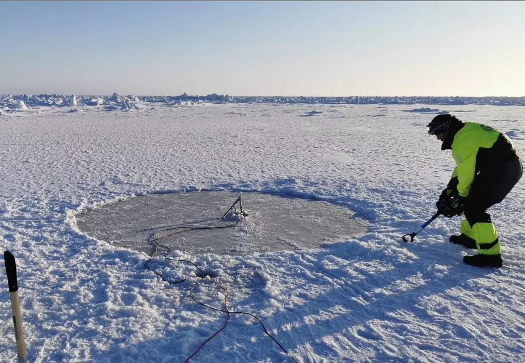 Tristan samler data som en lyssensor om er plassert på bunnen av havisen.