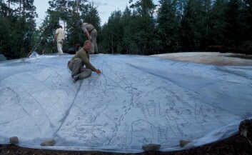 Jan Magne Gjerde i ferd med å tegne helleristningene på Kanozero over på plast. (Foto: Jan Magne Gjerde) Jan Magne Gjerde i ferd med å tegne helleristningene på Kanozero over på plast. (Foto: Jan Magne Gjerde)