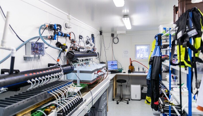 Tidligere har forskerne kun hatt tidsserier på rundt fem dager, fordi alle prøver måtte tas for hånd døgnet rundt. Et nytt laboratorium i Austevoll skal gi forskerne nye muligheter til å lære enda mer om skjell. Tidligere har forskerne kun hatt tidsserier på rundt fem dager, fordi alle prøver måtte tas for hånd døgnet rundt. Et nytt laboratorium i Austevoll skal gi forskerne nye muligheter til å lære enda mer om skjell.
