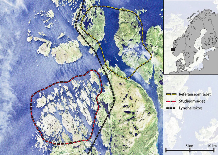 Satellittbilde som viser lyngheiområder og områder innenfor dominert av skog. (Foto: Ivar Gjerde/Skog og landskap) Satellittbilde som viser lyngheiområder og områder innenfor dominert av skog. (Foto: Ivar Gjerde/Skog og landskap)