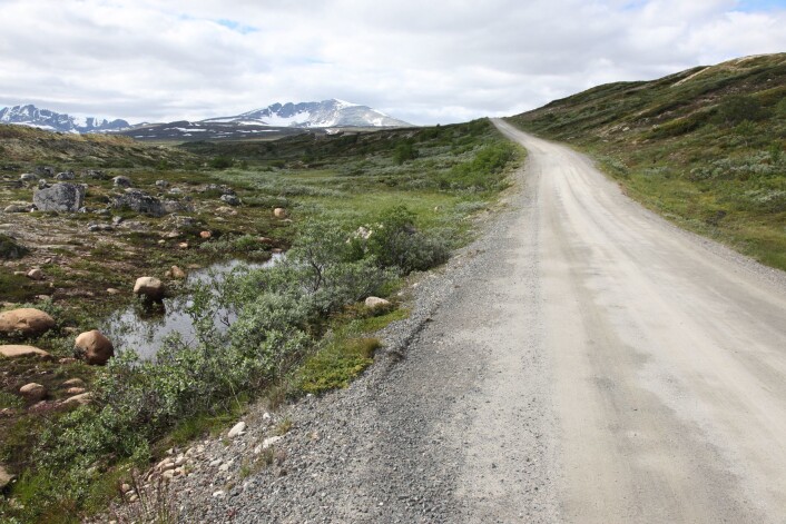 Snøheimvegen på Dovrefjell. (Foto: Vegard Gundersen/NINA) Snøheimvegen på Dovrefjell. (Foto: Vegard Gundersen/NINA)