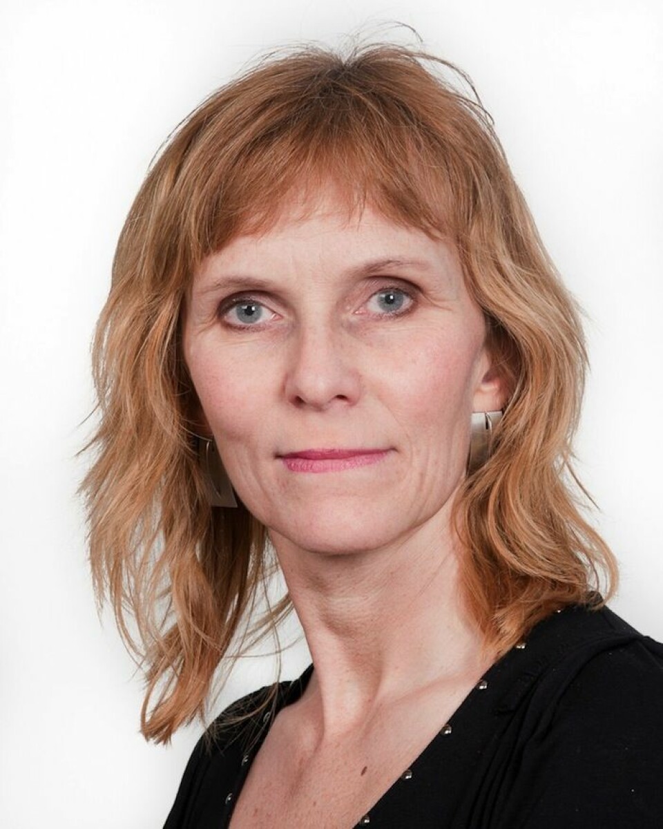 Catharina E. A. Wang (Foto: Bjørn-Kåre Iversen/UiT)