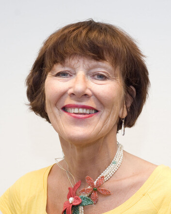 Professor Astrid Bergland mener fallskader må tas mer på alvor. (Foto: HiOA) Professor Astrid Bergland mener fallskader må tas mer på alvor. (Foto: HiOA)