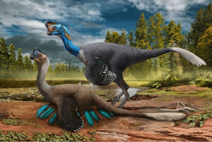 Slik kan dinosauren ha sett ut. Her passer paret på eggene. Slik kan dinosauren ha sett ut. Her passer paret på eggene.