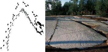 Denne helleristningstegneserien viser historien om hvordan en mann jaktet og til slutt drepte en bjørn. (Bilde: Jan Magne Gjerde) Denne helleristningstegneserien viser historien om hvordan en mann jaktet og til slutt drepte en bjørn. (Bilde: Jan Magne Gjerde)
