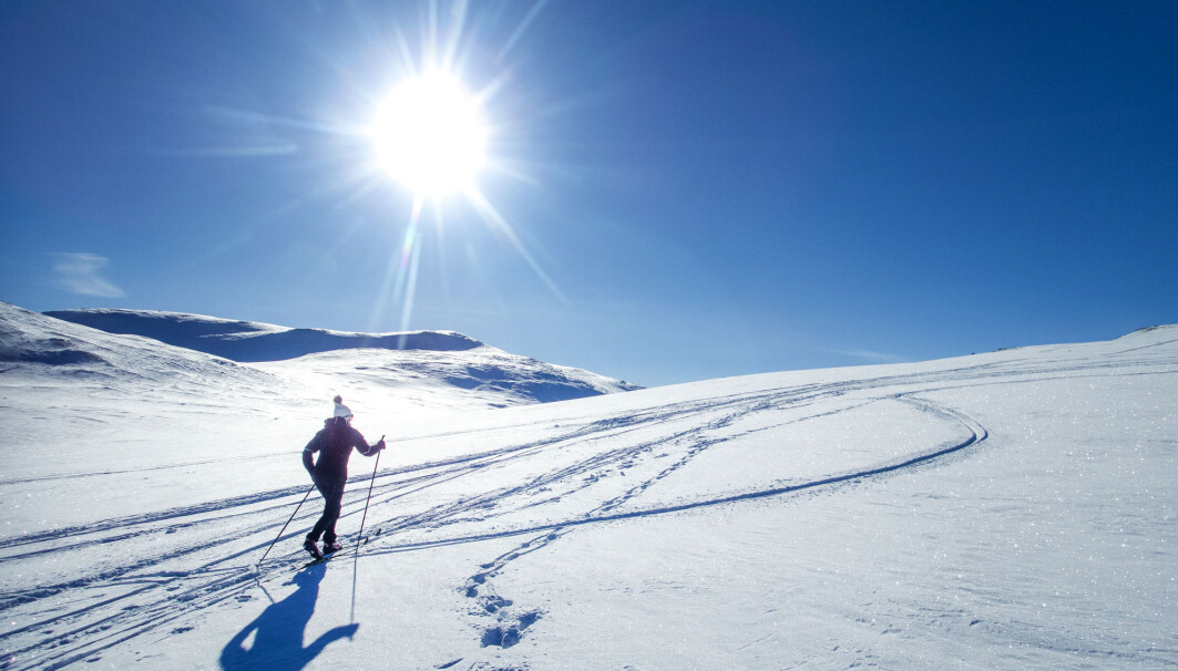 Det har blitt mindre populært å gå på ski i Norge, finner forskerne. Det har blitt mindre populært å gå på ski i Norge, finner forskerne.