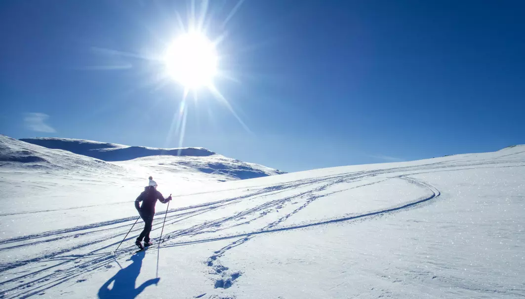 Det har blitt mindre populært å gå på ski i Norge, finner forskerne.