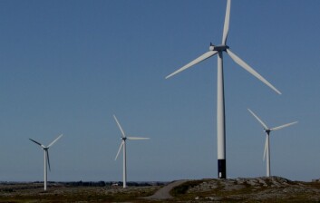 Flere av vindturbinene i Smøla vindkraftverk er malt delvis svarte for å redusere faren for at fugler kolliderer. (Foto: Roel May/NINA) Flere av vindturbinene i Smøla vindkraftverk er malt delvis svarte for å redusere faren for at fugler kolliderer. (Foto: Roel May/NINA)