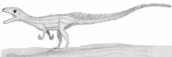 Oliver Rauhut, hovedforfatteren av artikkelen der dinosauren er beskrevet, har forsøkt seg på en illustrasjon av hvordan den levende Sciurumimus albersdoerferi ville sett ut. (Foto: (Bilde: Oliver Rauhut)) Oliver Rauhut, hovedforfatteren av artikkelen der dinosauren er beskrevet, har forsøkt seg på en illustrasjon av hvordan den levende Sciurumimus albersdoerferi ville sett ut. (Foto: (Bilde: Oliver Rauhut))