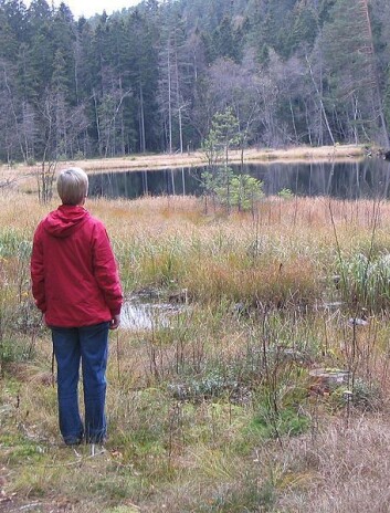 Da Romerikstunnelen skulle bygges, var deler av berggrunnen i traseen forvitret. Dermed fikk arbeiderne vannet fra Puttjern i hodet. (Foto: Oslo Skiforening/Wikimedia Commons) Da Romerikstunnelen skulle bygges, var deler av berggrunnen i traseen forvitret. Dermed fikk arbeiderne vannet fra Puttjern i hodet. (Foto: Oslo Skiforening/Wikimedia Commons)