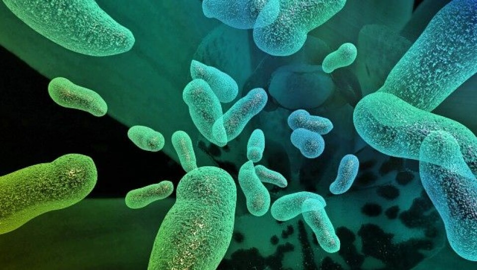 Hele 90 prosent av cellene i kroppen kan bestå av fremmede mikrober. Mange av disse bakteriene er helt nødvendige for å holde deg frisk. (Foto: Colourbox)