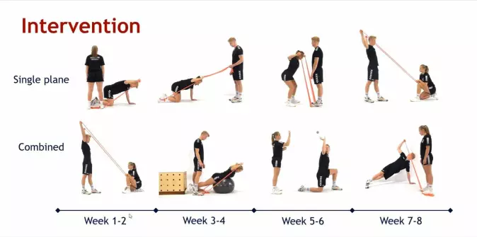 Exercises to strengthen the outward rotational muscles of the shoulder. These were carried out by handball players from six teams over an eight-week period.