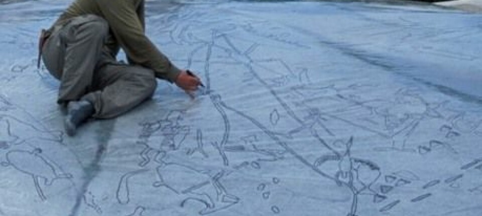 Jan Magne Gjerde i ferd med å tegne helleristningene på Kanozero over på plast. (Foto: Jan Magne Gjerde)