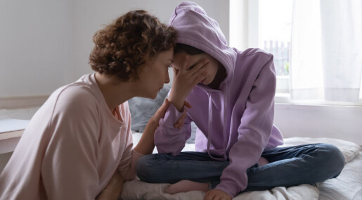Ny type mental trening hjelper pårørende til familiemedlemmer med psykisk sykdom Ny type mental trening hjelper pårørende til familiemedlemmer med psykisk sykdom