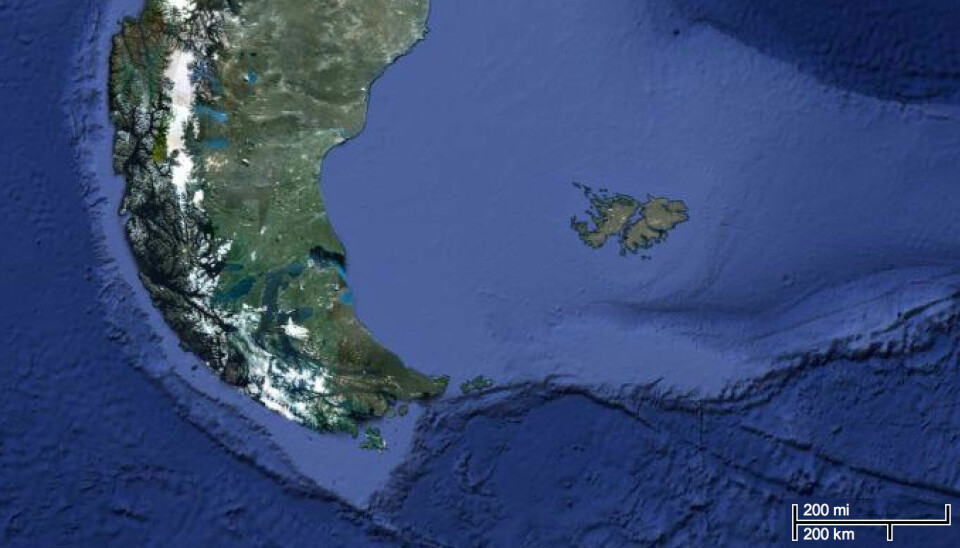 Illustrasjonen viser den nåværende avstanden mellom Sør-Amerika og Falklandsøyene. (Foto: (Illustrasjon: Google maps))