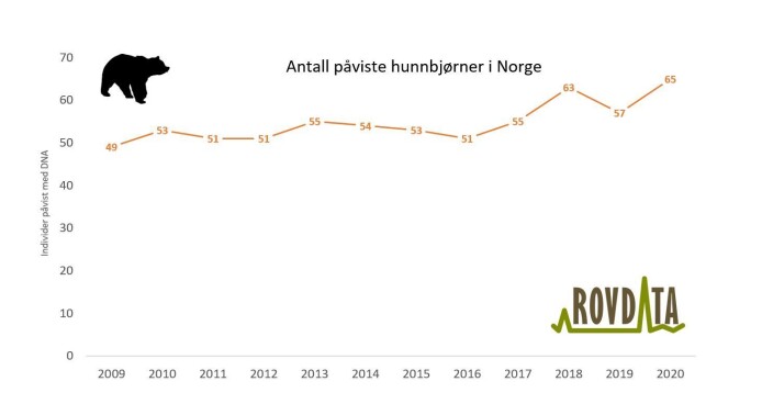 Antall hunnbjørner påvist med DNA i Norge 2009-2020. Antall hunnbjørner påvist med DNA i Norge 2009-2020.