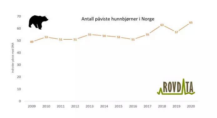 Antall hunnbjørner påvist med DNA i Norge 2009-2020.